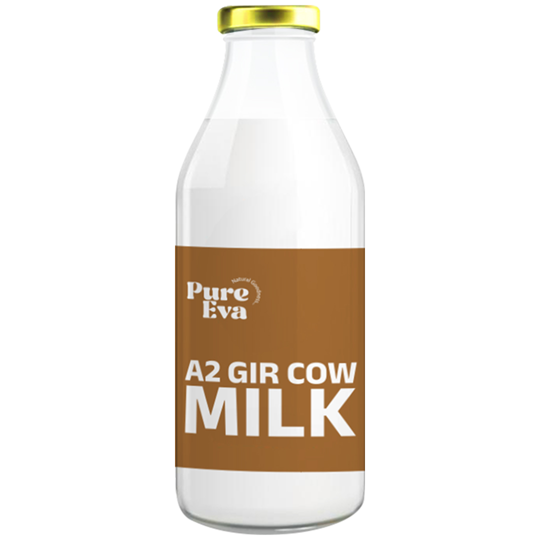 Gir Cow A2 Milk in Ahmedabad